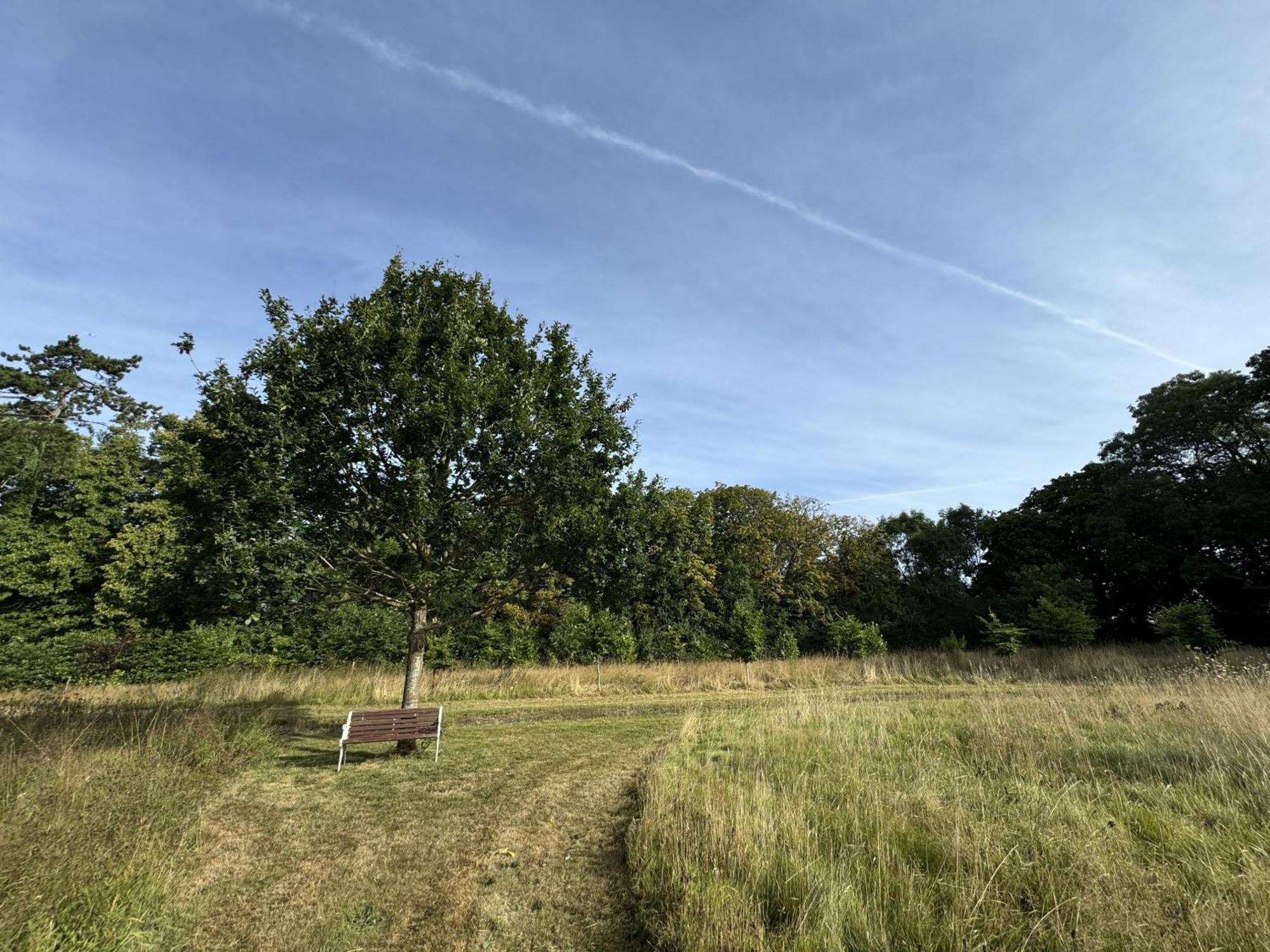 Hookwood Lodge London Gatwick ホーリー エクステリア 写真